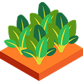 Fruiting Sponsorship Icon